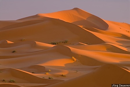 Erg Chebbi Adrouine, clouds, Erg Chebbi, evening light, Meknès-Tafilalet, Merzouga, Morocco, Marokko