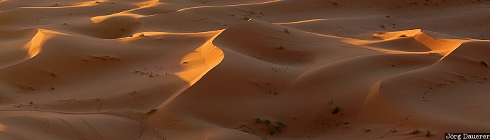 Adrouine, Meknès-Tafilalet, Morocco, Erg Chebbi, Merzouga, morning light, pattern, Marokko