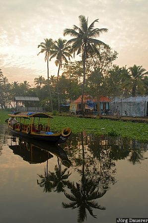 Alleppey, backwaters, blue, boat, India, morning light, palm tree, Kerala