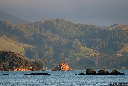 New Zealand, Waikato, Coromandel, coast, coastline, forest, haze, Neuseeland