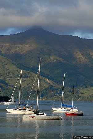 Akaroa, New Zealand, Akaroa Harbour, Banks peninsula, boats, Canterbury, coast, Neuseeland