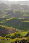 Green Farmland