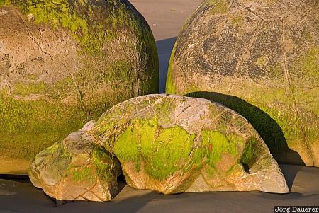 New Zealand, Otago, Hampden, Hillgrove, coast, detail, Moeraki Boulders, Neuseeland