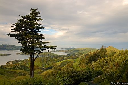 New Zealand, Otago, Broad Bay, clouds, farmland, green, otago Peninsula, Neuseeland