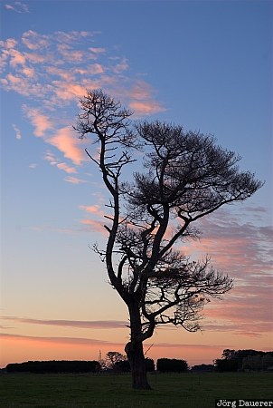 Australia, Victoria, Great Ocean Road, silhouette, sky, red clouds, sunrise, Australien, Down Under, VIC