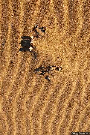 Australia, Victoria, Great Ocean Road, rocks, rock, stone, sand, Australien, Down Under, VIC