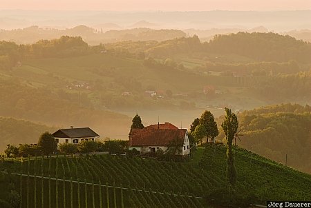 Austria, Styria, Ratsch an der Weinstraße, farm house, fog, mist, morning light, Österreich, Steiermark, Oesterreich