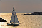 Sailing Boat