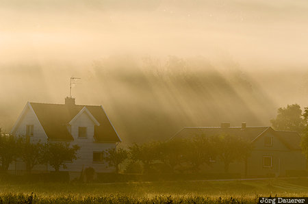 Tjörn Fog Gläshed, Hjälteby, SWE, Sweden, Västra Götaland, fog, mist