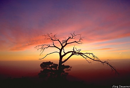 Troodos, sunset, tree, colorful sunset, cyprus, mountains, clouds