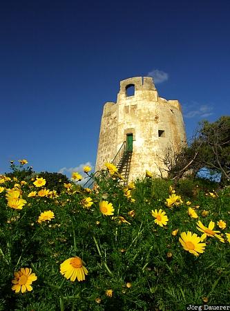 Italy, Sardinia, green, yellow, clouds, sky, blue sky