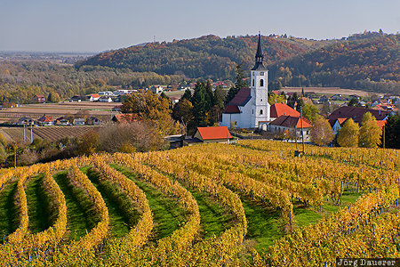 Haloze Vineyards Slovenia, SVN, Zavrc, autumn, church, Haloze, Sauritsch, Spodnja tajerska