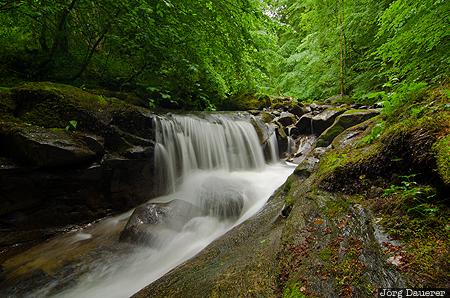 Aberfeldy, GBR, Highland Ward, Scotland, United Kingdom, Birks Of Aberfeldy, canopy, Großbritannien, Vereinigtes Königreich, Schottland, Grossbritannien, Vereinigtes Koenigreich