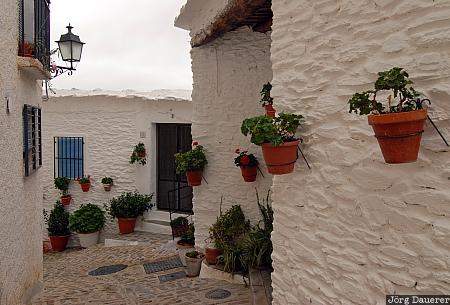 Andalucia, Bubion, Pampaneira, Spain, flower pots, flowers, La Alpujarra, Andalusia, Spanien, Espana, Andalusien