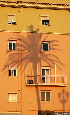 Spain, Andalusia, Cadiz, shadow, palm tree, palm, house, Spanien, Espana, Andalucia, Andalusien