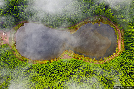 Azores, Feteiras, Portugal, PRT, clouds, fog, green