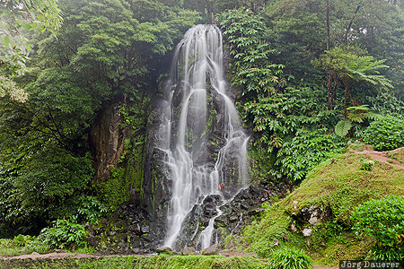 Ribeira dos Caldeirões Achada, Azores, Portugal, PRT, flowing water, green, Parque Natural da Ribeira dos Caldeirões