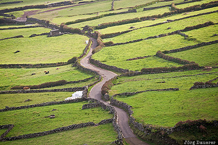 Azores, Portugal, PRT, Vila do Corvo, Atlantic ocean, dry stone wall, green