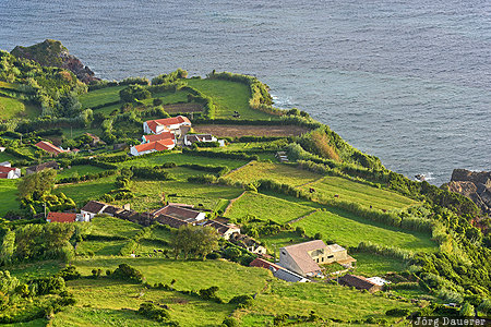 Ponta Delgada Azores, Ponta Delgada, Portugal, PRT, Atlantic ocean, coast, dry stone wall