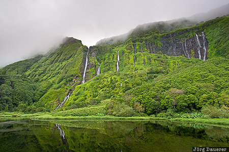 Poço Ribeira do Ferreiro Azores, Outeiro, Portugal, PRT, flores, fog, green, Poço Ribeira do Ferreiro