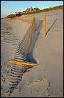 Sand Fence in Dennis