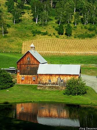 United States, Vermont, Woodstock, trees, pond, lake, farm, USA, Vereinigte Staten, VT