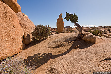 Rocks California, Pinto Wye, Twentynine Palms, United States, USA, back-lit, desert, Joshua Tree National Park, Vereinigte Staten, Kalifornien, CA