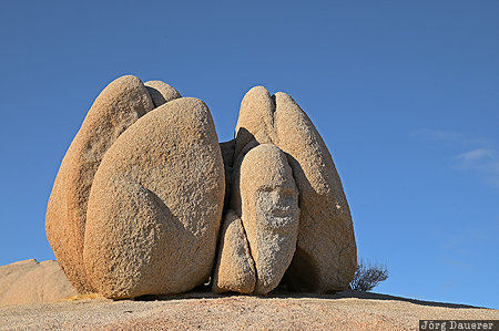 California, Pinto Wye, Twentynine Palms, United States, USA, Joshua Trees National Park, Jumbo Rocks, Joshua Tree National Park, Vereinigte Staten, Kalifornien, CA