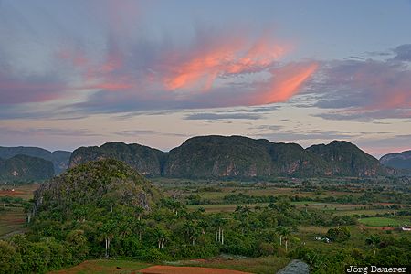 Viñales Valley CUB, Cuba, Pinar del Río, Vega Larga, green, limestone cliffs, mogotes, Viñales, Kuba, Pinar del Rio, Vinales