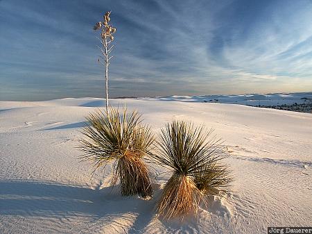 White Sands National Monument, desert, sky, New Mexico, Alamogordo, United States, Neu Mexiko, USA, Vereinigte Staten, NM