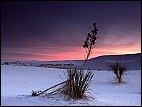 White Sands Sunset