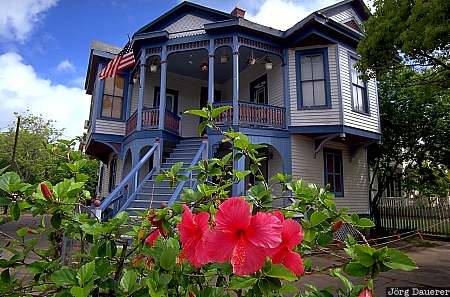 Galveston, United States, Texas, historic house, Victorian, flower, red flower, USA, Vereinigte Staten, TX