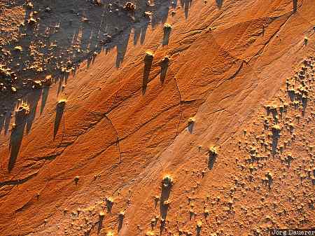 earth, soil, surface, dried soil, crust, Badlands National Park, South Dakota, United States, USA, Vereinigte Staten, SD