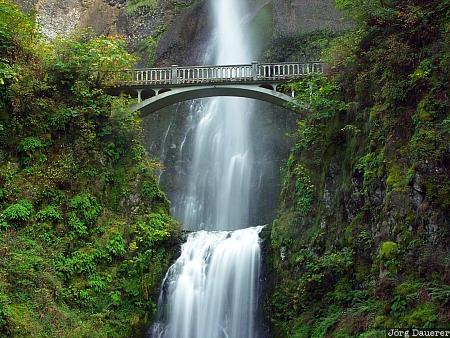 Multnomah Falls, bridge, Corbett, flowing water, green, Oregon, Saint Cloud, United States, water, waterfall