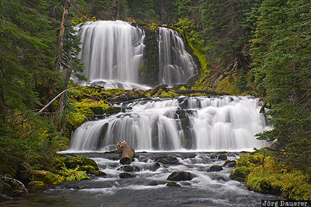Tumalo Creek Bend, Oregon, United States, USA, Deschutes National Forest, Middle Fork Tumalo Creek, Tumalo Creek, Vereinigte Staten, OR