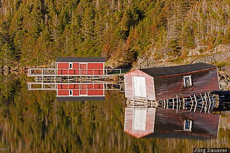 CAN, Canada, Newfoundland, Salt Harbour, evening light, fishing shack, Leaning Shack, Kanada