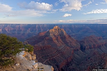 Arizona, North Rim, United States, Vista Encantada, blue sky, evening light, grand canyon, USA, Vereinigte Staten, AZ