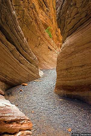 desert, Lowell slot canyon, slot, canyon, Nevada, United States, sandstone, USA, Vereinigte Staten, NV