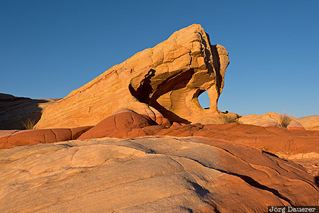 Nevada, United States, USA, arch, blue sky, evening light, Fire Canyon, Vereinigte Staten, NV