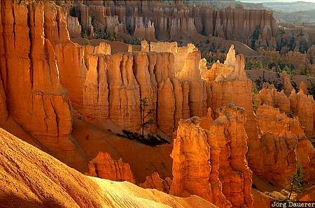 hoodoos, bryce canyon national park, sunrise, Utah, United States, morning light, sandstone, USA, Vereinigte Staten, UT