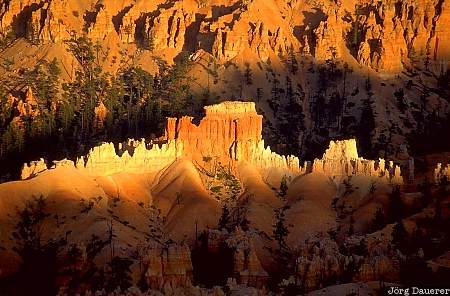 hoodoos, bryce canyon national park, sunrise, Utah, United States, evening light, sandstone, USA, Vereinigte Staten, UT