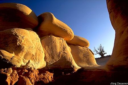 hoodoos, devils garden, hole in the rock road, Grand Staircase Escalante National Monument, Utah, GSENM, United States, USA, Vereinigte Staten, UT