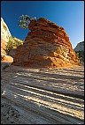 Not yet availabe Zion National Park