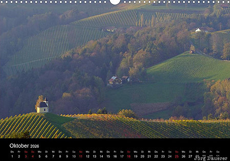 Vineyard near Gamlitz, Styria, Austria, calendar, October, Steiermark, Österreich