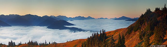 clouds, fog, morning light, mountains, Olympic mountains, Olympic National Park, Port Angeles, United States, USA, Vereinigte Staten